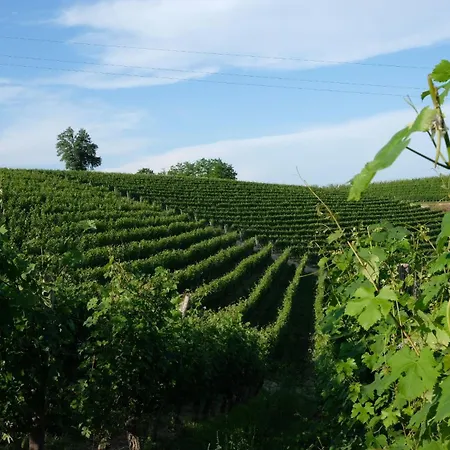 Farm stay Valdispinso Santa Vittoria d'Alba