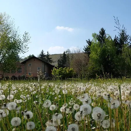 Farm stay Valdispinso Santa Vittoria d'Alba